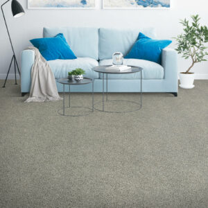 Carpeting in living room | Sackett's Flooring Solutions