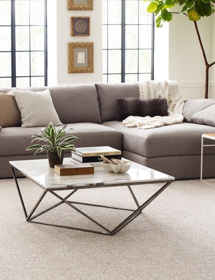 Living room with carpet | Sackett's Flooring Solutions