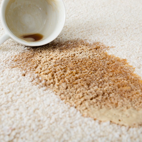 Carpet Coffee Spill | Sackett's Flooring Solutions