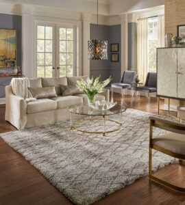 area rug in living room | Sackett's Flooring Solutions